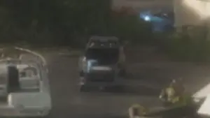 همان.