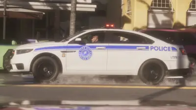 Lowline (police)